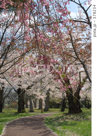 青葉ヶ丘公園 378234