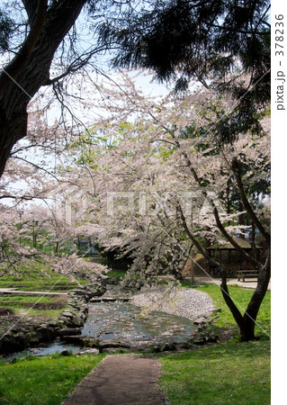 青葉ヶ丘公園 378236