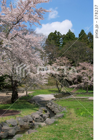 青葉ヶ丘公園 青葉ヶ丘公園 378237