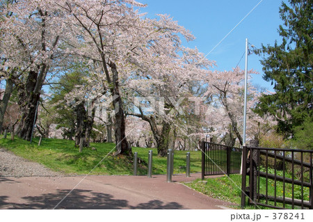 青葉ヶ丘公園 378241