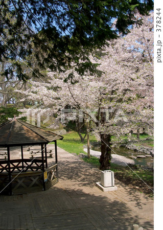 青葉ヶ丘公園 378244