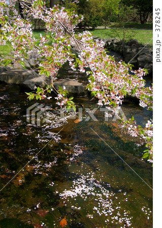 青葉ヶ丘公園 378245