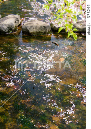 青葉ヶ丘公園 青葉ヶ丘公園 378246