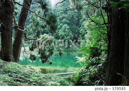 滝の頭（たきのがしら）の遊歩道－０５ 379585