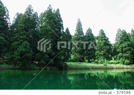 滝の頭（たきのがしら）湧水池－０２ 379588