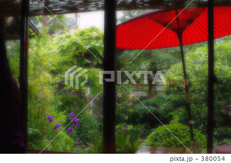 日本庭園 家庭の庭 番傘の写真素材