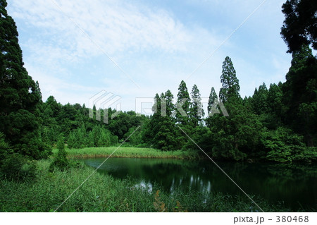 滝の頭（たきのがしら）湧水池－０３ 380468