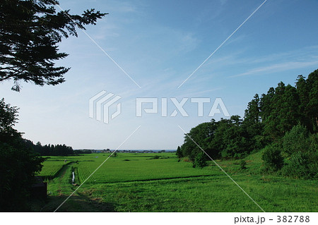 男鹿－田園風景－０１ 382788