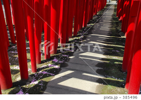 赤い鳥居　 385496