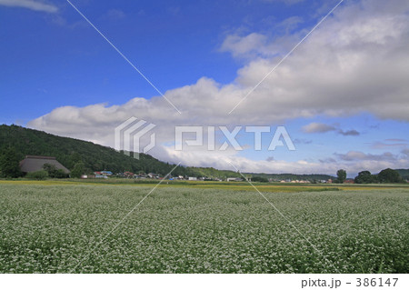 初秋の田舎 386147