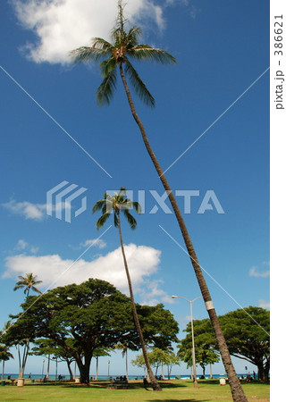 ワイキキビーチ ワイキキビーチ 386621