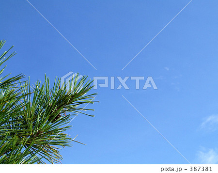 夏空 夏空 387381