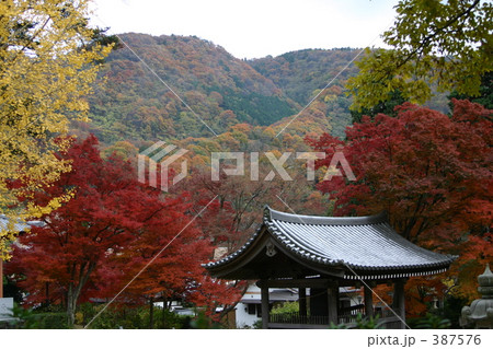 紅葉 お寺 紅葉 お寺 387576