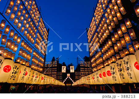 多賀大社 万灯祭 多賀大社 万灯祭 388213