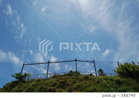 バックネットと空 バックネットと空 388740