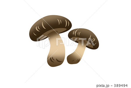 しいたけ 389494