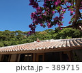 沖縄スタイル 389715