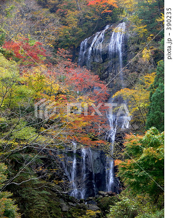 白滝の紅葉 白滝の紅葉 390235