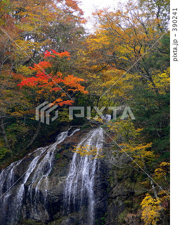 白滝の紅葉 390241