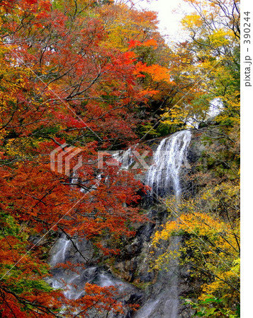 白滝の紅葉 白滝の紅葉 390244