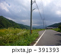田んぼと道 391393