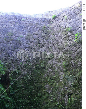 沖縄　中城グスク　石垣と蔦 391531