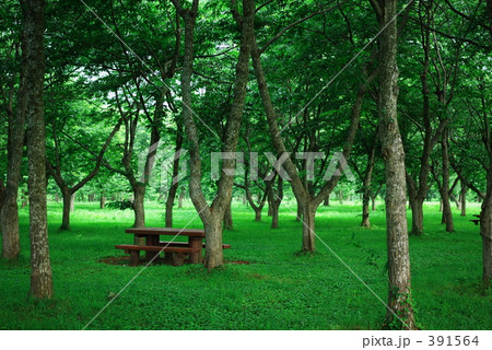 錦秋湖－０２ 391564