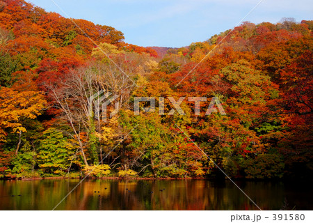 十二湖の紅葉の写真素材