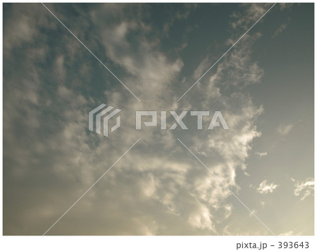 くも 004 くも 004 393643