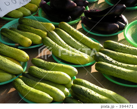 キュウリ 394471