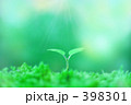 ちいさな双葉 398301