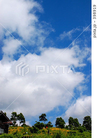 夏の空 398919