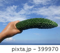 ごーやーと戯れて４ 399970