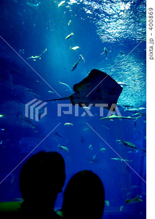 水族館 水族館 400869