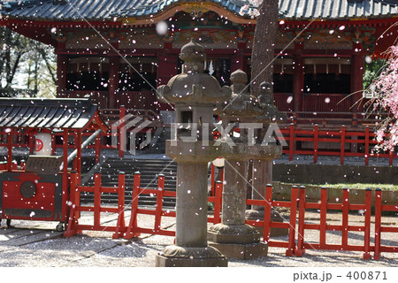桜吹雪 400871