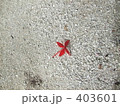 南国　リゾート 403601
