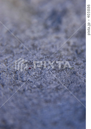 石の上の蟻 403886