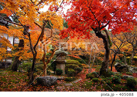 圓光寺　真紅一色に染まる 405088
