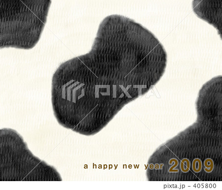 2009年年賀状 405800