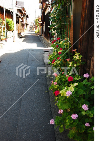 路傍の花 路傍の花 405825