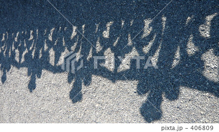 影～皇居にて～ 406809