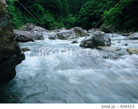 急流の蓮川 408423