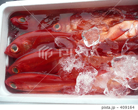 漁港のキンメダイ 409164