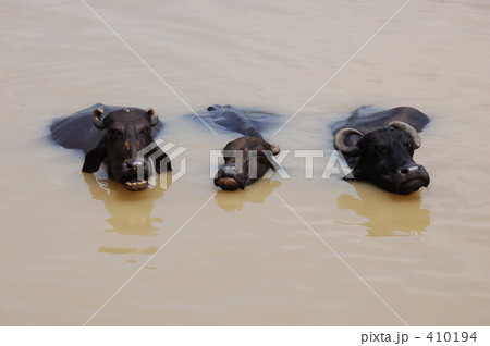 ガンガー01 410194