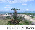 世界遺産　沖縄　城跡 410855