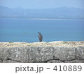 勝連城址　沖縄 410889