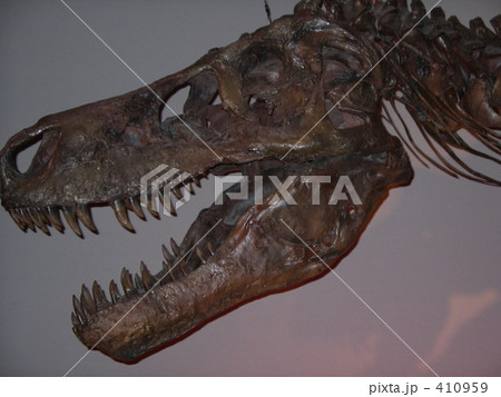 恐竜 410959