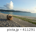 ヤドカリと戯れて２ 411291