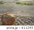 ヤドカリの恋 411293