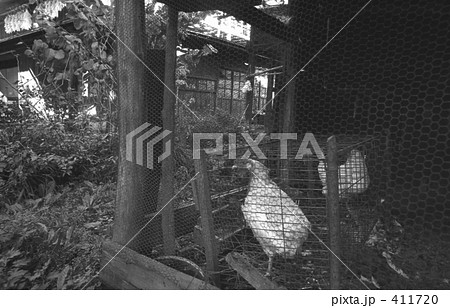 奥多摩・丹波山村 昭和47年 奥多摩・丹波山村 昭和47年 411720